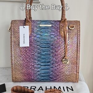 Brahmin Caroline Satchel Multi Stellaris